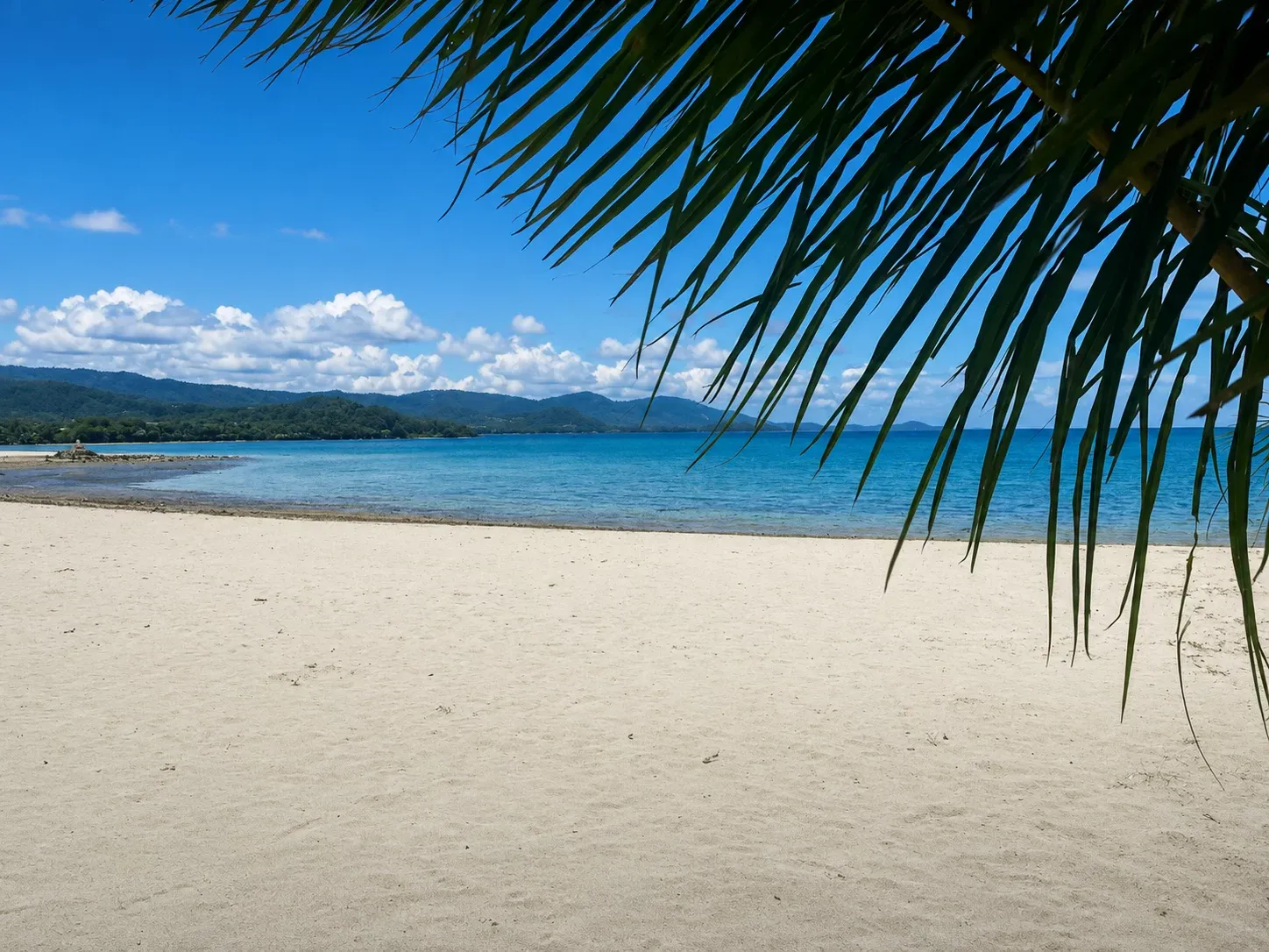 Stiller, leerer Sandstrand auf Ko Samui mit Palmwedel und ruhigem Meer