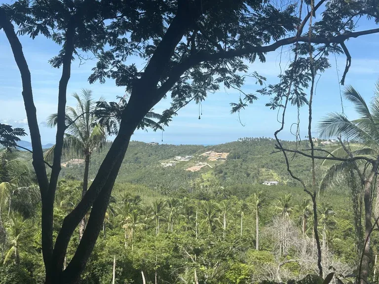 Ruhige Weite über Ko Samui
